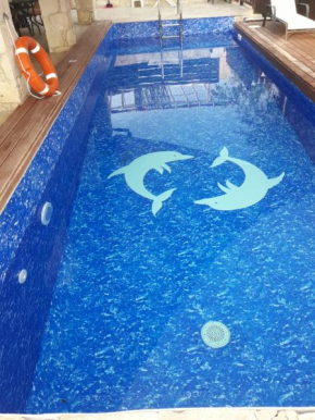 V.I.P Villa
